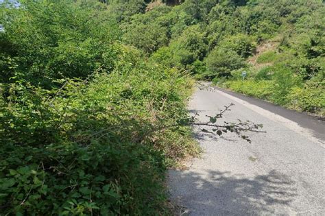 Strade Provinciali Impercorribili Nel Lametino Lettera Aperta Di