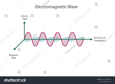 Vector Scientific Illustration Of Royalty Free Stock Vector