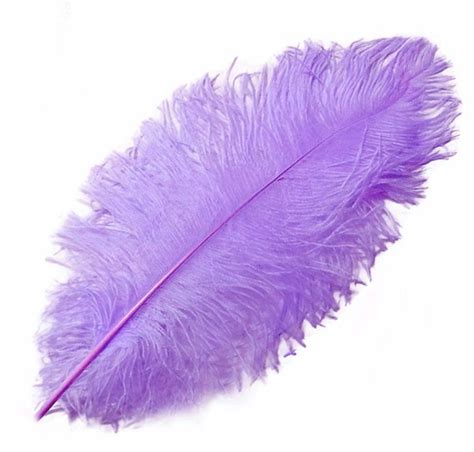 Lavender Ostrich Feathers Feather Planet