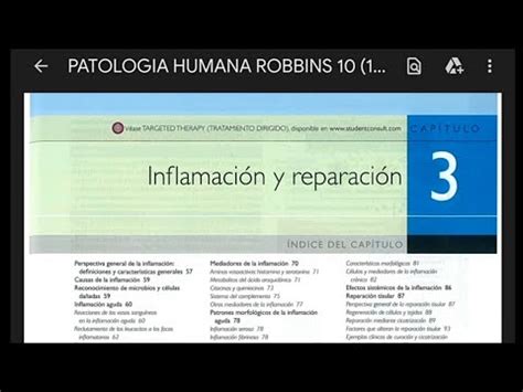 Patología humana Robbins capítulo 3 inflamación y reparación parte 1