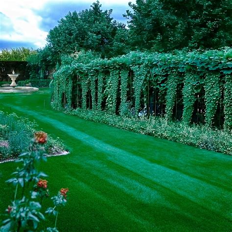 Pussy Single Album By Giift Apple Music