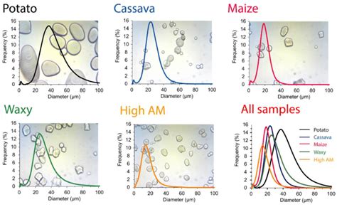 Particle Size Distribution PSD Graphs With Inserted Granules