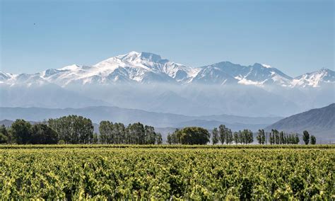 Is Mendoza Worth Visiting Pro S Of The Wine Region