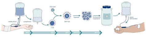 Allogeneic CAR-T Cells - Excellos