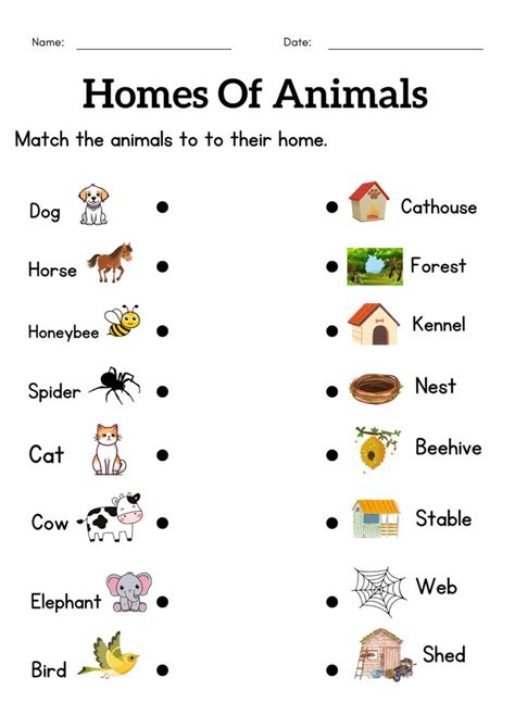 Animals And Their Homes Worksheets For Grade 1 2 3 Homes Of Animals