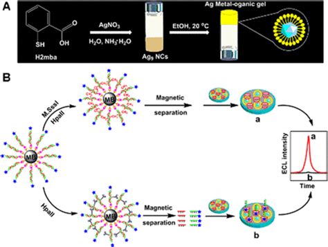 Frontiers In Nano Bio Analysis Virtual Issue