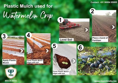 MulchIndia 𝐏𝐥𝐚𝐬𝐭𝐢𝐜 𝐌𝐮𝐥𝐜𝐡 𝐮𝐬𝐞𝐝 𝐟𝐨𝐫 𝐖𝐚𝐭𝐞𝐫𝐦𝐞𝐥𝐨𝐧 𝐂𝐫𝐨𝐩 𝐌𝐮𝐥𝐜𝐡 𝐈𝐧𝐝𝐢𝐚 Call