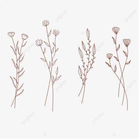 Botanical Aesthetic Flowers Line Art Decorations Botanical Drawing