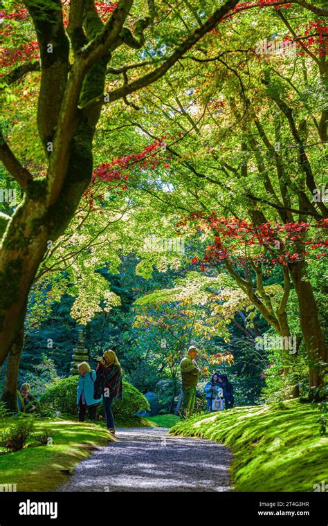 People Enjoying The Calm Of Nitobe Japanese Gardens At Ubc Vancouver