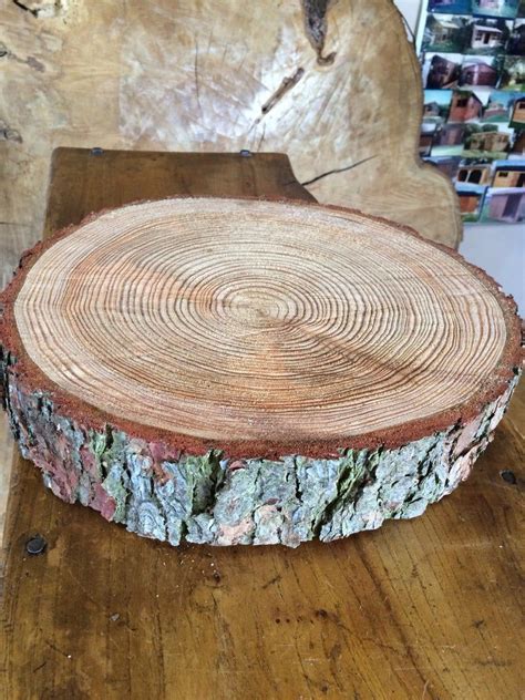 Gorgeous Rustic Log Slice X Thick Ideal For Etsy Uk Wooden