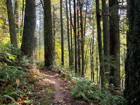 Portland weekend weather: Sunny and warm - oregonlive.com