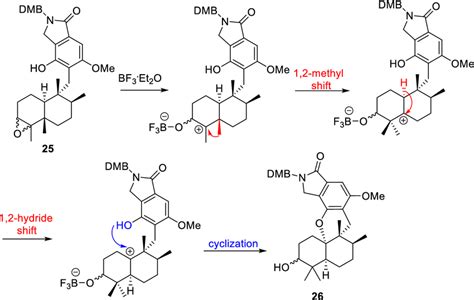 Cyclization And Rearrangements Involve In The Generation Of Key