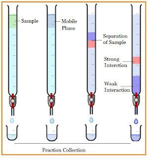 Cromatografía en columna Definición principio partes pasos usos