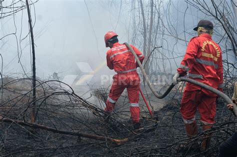 Pertamina Kerahkan 206 Personil Untuk Tanggulangi Bencana Karhutla Di