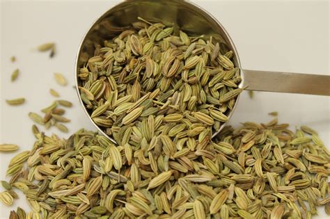 Fennel Seed - Stuart's Spices