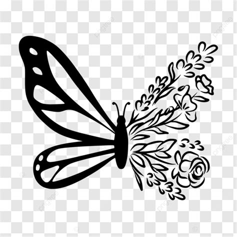 Half Butterfly Flower Drawing Vector Butterfly Flower Butterfly