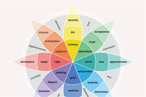 The 6 Types Of Basic Emotions And Their Effect On Human Behavior Mindlor