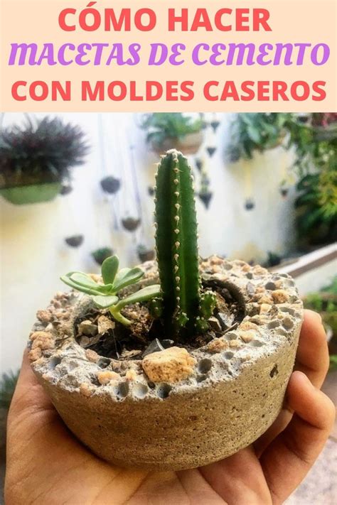 Macetas De Cemento Moldes Cactus Plants Youtube Diy Concrete Pots