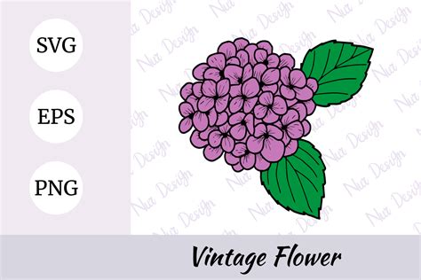 Hydrangea Flower Illustration Svg Graphic By Nurdesign99 · Creative Fabrica