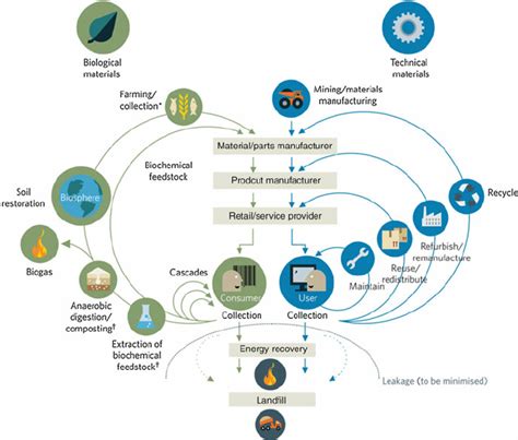 The Circular Economy In The Biosphere And The Technosphere Copyright