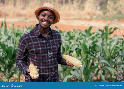 African Farmer Man Using Smartphone And Holding Banana At Organic Farm