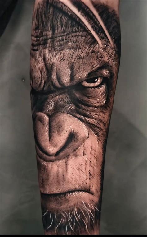 Pin De Max Fischer Em Tattoos Em Tatuagem De Gorila Tatuagem Na