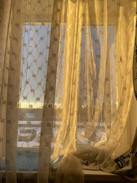 Morning sun 🌞