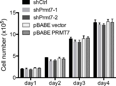 Figure From Prmt Is Dispensable In Tissue Culture Models For