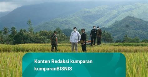 Mentan Ajak Petani Aceh Tingkatkan Produktivitas Panen Padi 34 Kali