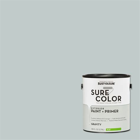 Rust Oleum Sure Color Gravity Exterior Paint Primer Flat Finish 2 Pack