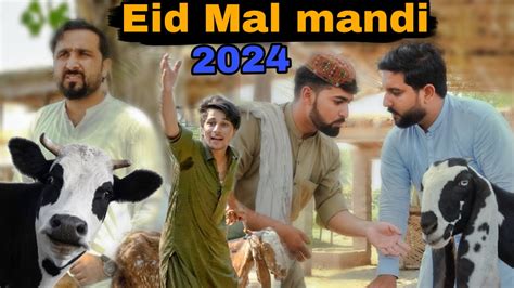 Eid Mal Mandi 2024 Pashto New Funny Video Zindabad Vines 2024 YouTube