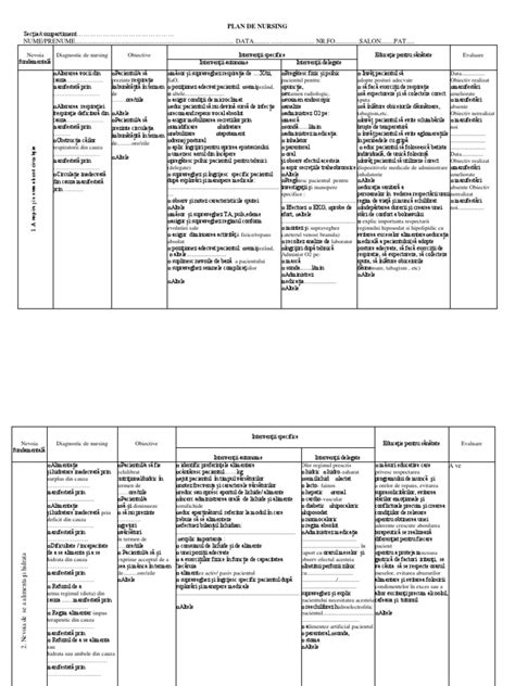 1 Plan De Ingrijire Completat Pdf