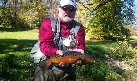 Pa Fly Fishing October On Spruce Creek Trout Haven