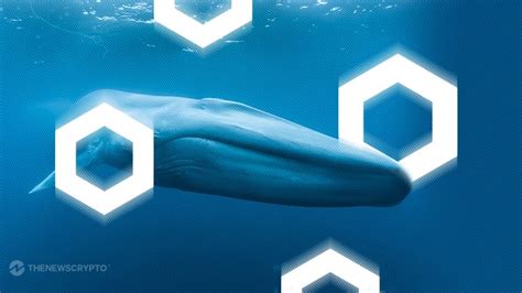 Why Are Whales Accumulating Chainlink Link Thenewscrypto