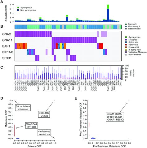 Somatic Mutations In Primary And Metastatic Uveal Melanoma A The