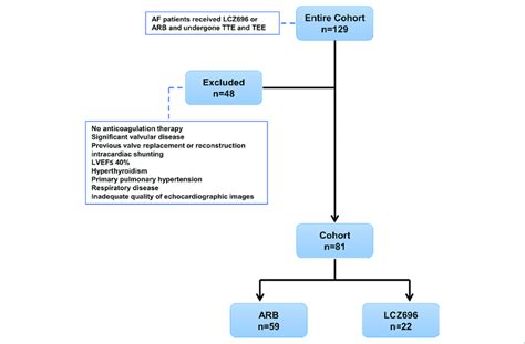 Study Design Displaying Inclusion Exclusion And Patient Group