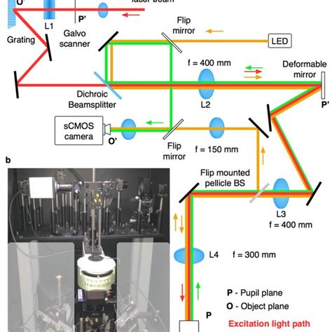 Detailed Schematic Of The Optical Set Up O And O Indicate Object And