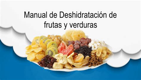 Manual para la deshidratación de frutas y verduras InfoAgronomo