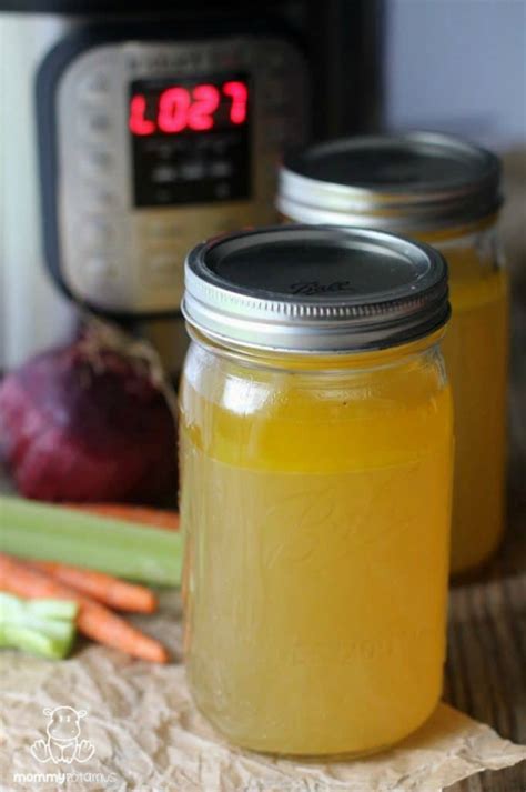 Instant Pot Bone Broth Recipe