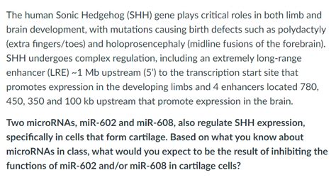 Solved The Human Sonic Hedgehog Shh Gene Plays Critical Chegg