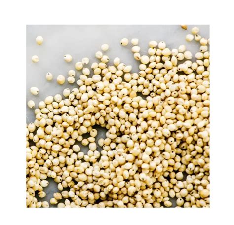 Sorghum Manufacturer Supply Bulk Sorghum Grains Canada Good Quality