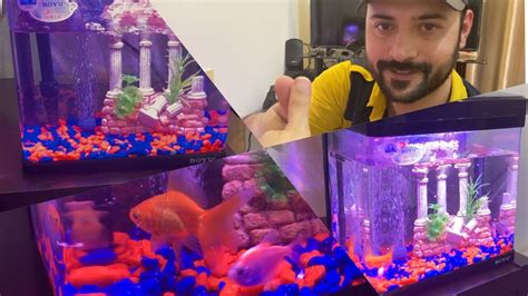 Bought Fish Aquarium Tank Mustafa Kamal YouTube