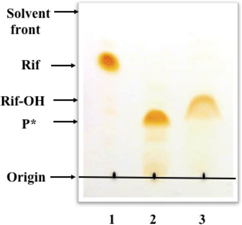 TLC monitoring of RifMO activity with Rif. Lane 1, Rif; lane 2 ...