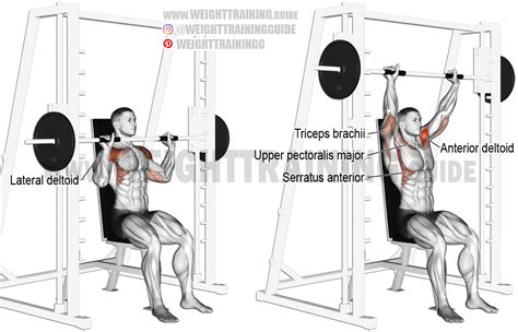 Smith Machine Seated Overhead Press Exercise Instructions And Video