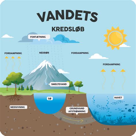 Vandets Kredsl B L Ringstavler Eduplay