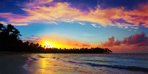 Caribbean Sunset On Tropical Beach With Coconut Palm Trees Stock