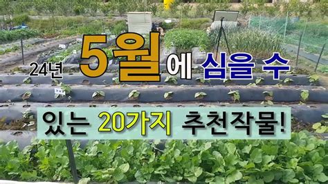 5월에 심을 수 있는 20가지 추천 작물 주말농장 5텃밭 가꾸기 필레오tv Youtube