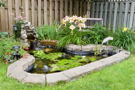 Quelles Sont Les Etapes Pour Creer Un Bassin De Jardin