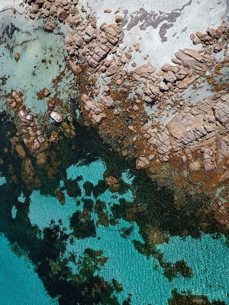 Una Vista A Rea De La Gran Barrera De Coral Foto Premium