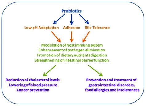 Some Beneficial Effects Of Probiotics To Human Health Modified From